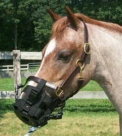 Best Friend - Clip-On Grazing Muzzle