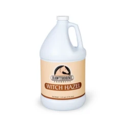 Witch Hazel