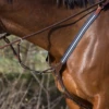 Antares Elastic Breastplate