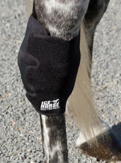 Ice Horse Hock Wrap