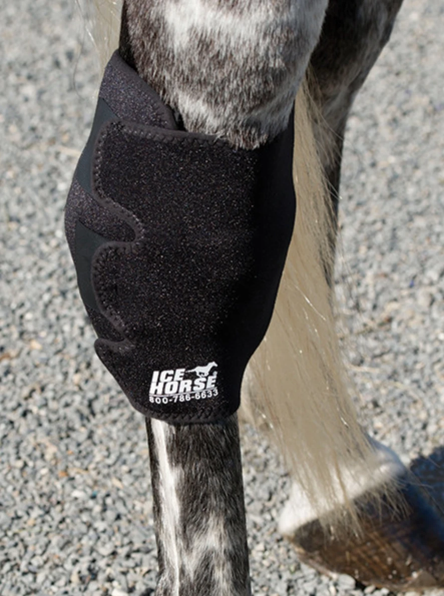 Ice Horse Hock Wrap 1 Ice Horse Hock Wrap
