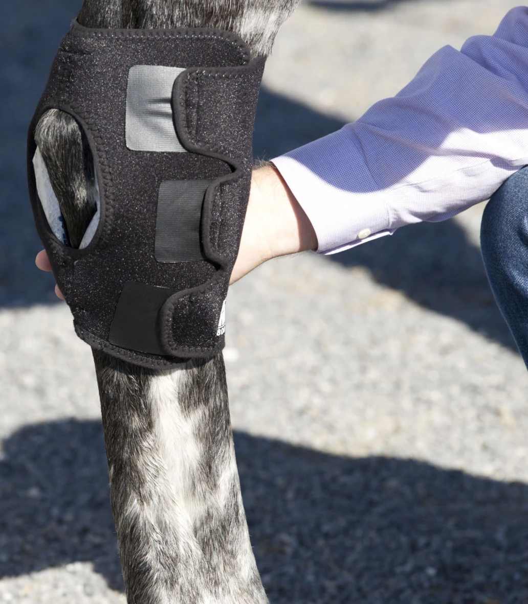 Ice Horse Hock Wrap 2 Ice Horse Hock Wrap - Image 2