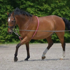 Waldhausen Lunging Aid