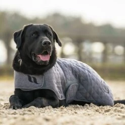 BACK ON TRACK HAZE COLLECTION DOG RUG 9 BACK ON TRACK HAZE COLLECTION DOG RUG -Sports - Equestrian Sports Web Dog haze 2 600x600 1