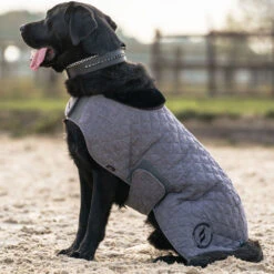 BACK ON TRACK HAZE COLLECTION DOG RUG