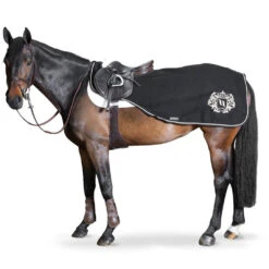 BACK ON TRACK - William Wool Exercise Rug -Sports - Equestrian Sports William Exercise 1000 by 1000