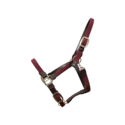 Kentucky Plaited Nylon Halter 8 Kentucky Plaited Nylon Halter -Sports - Equestrian Sports a a929523bbdd099ba1a676b6771a9e673 article photobook m 31bc991d fdad 4305 b31a 986603cb542b