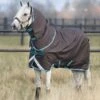 HORSEWARE IRELAND - Amigo Bravo 12 Pony Plus Lite
