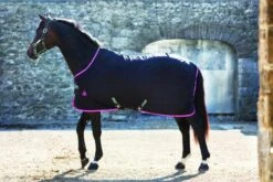 Horseware Ireland Amigo Stable Sheet 11 Horseware Ireland Amigo Stable Sheet -Sports - Equestrian Sports amigo stable rug black purple mint1 1024x1024 c08b16c5 ee18 4d7f 8bcd 9f29f7d4d559