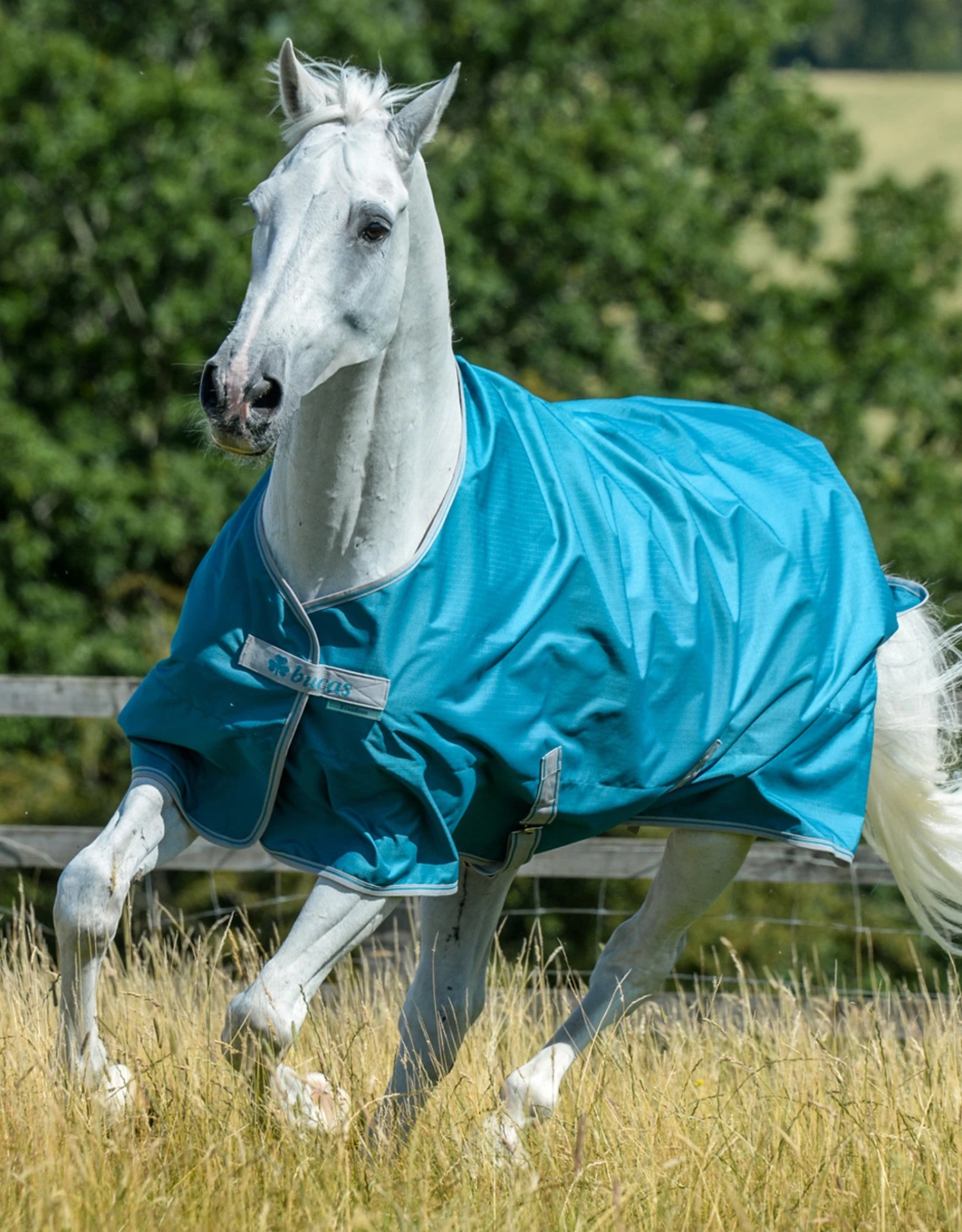 Bucas Freedom Turnout Classic Light 4 Bucas Freedom Turnout Classic Light - Image 4