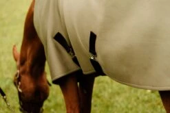 ANATOMEQ - FIT BLANKET -Sports - Equestrian Sports custom resized 1024x1024 2x b787573b 872f 4ce9 8a4f b2966c5a3a2e