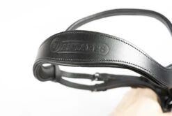 ANTARES - SIGNATURE DRESSAGE FLASH BRIDLE -Sports - Equestrian Sports image 87927110 ddd9 4af3 a496 c5613c9ade33 1080x jpg