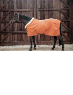KENTUCKY SHOW RUG -Sports - Equestrian Sports image ba7e7287 e152 477b 9820 a961a0a71c17