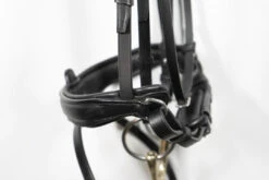 ANTARES - SIGNATURE DRESSAGE FLASH BRIDLE -Sports - Equestrian Sports image c2ab3447 c22e 4dec 8cb5 9a3c7f54bedb 1080x jpg