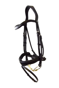 ANTARES - SIGNATURE DRESSAGE FLASH BRIDLE