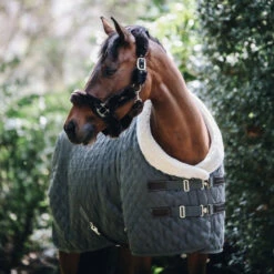 KENTUCKY SHOW RUG -Sports - Equestrian Sports kenshowr 7