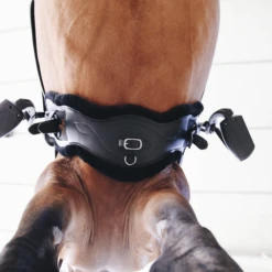 Kentucky Sheepskin Anatomic Short Girth -Sports - Equestrian Sports kentukcyanotomicshort3