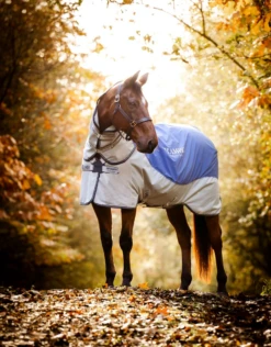 Horseware Ireland Rambo Autumn Series
