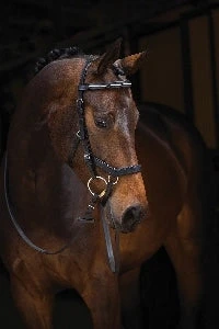 Horseware Ireland Rambo Micklem Diamante Competition Bridle