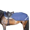 Back On Track Sammy Exercise Rug